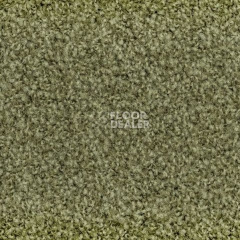Ковролин Vorwerk Exclusive1009/Elara 4f75 фото 1 | FLOORDEALER